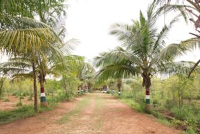 Guddipa ANR Infra gallery